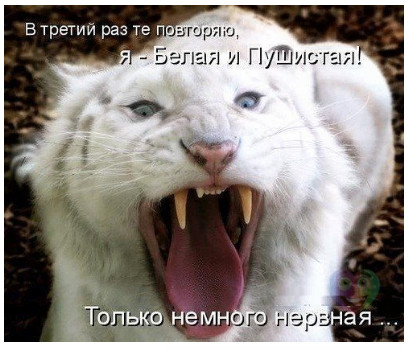 юмор
