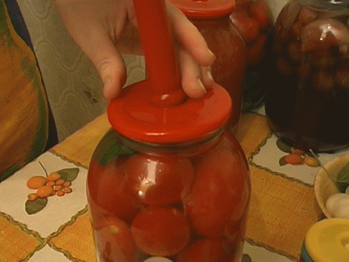 маринованая помидора